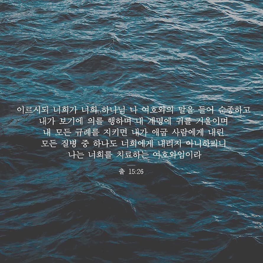 성구이미지