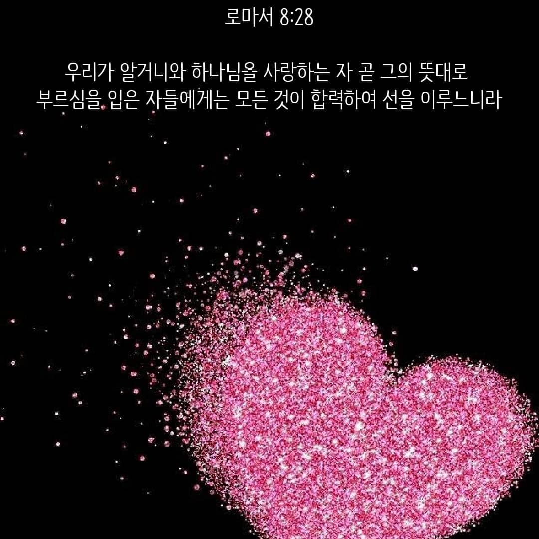 성구이미지