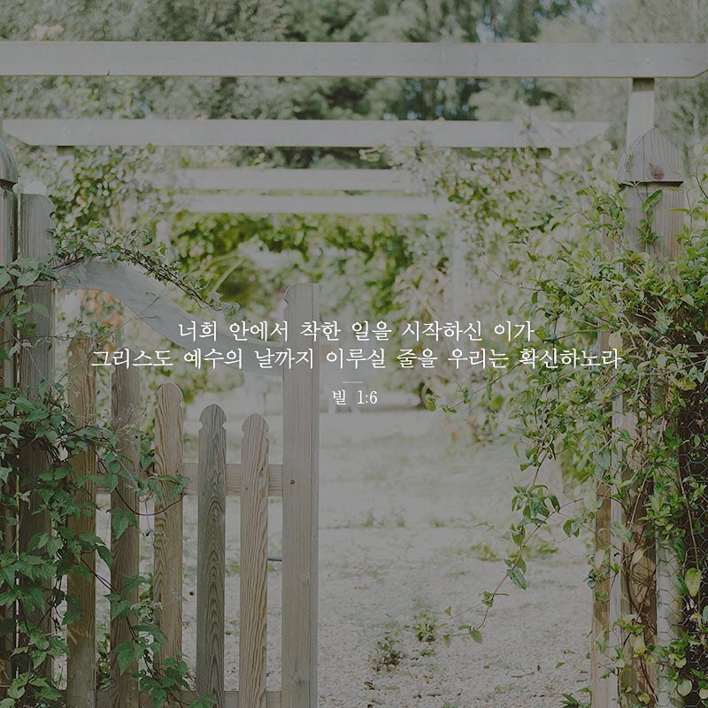 성구이미지