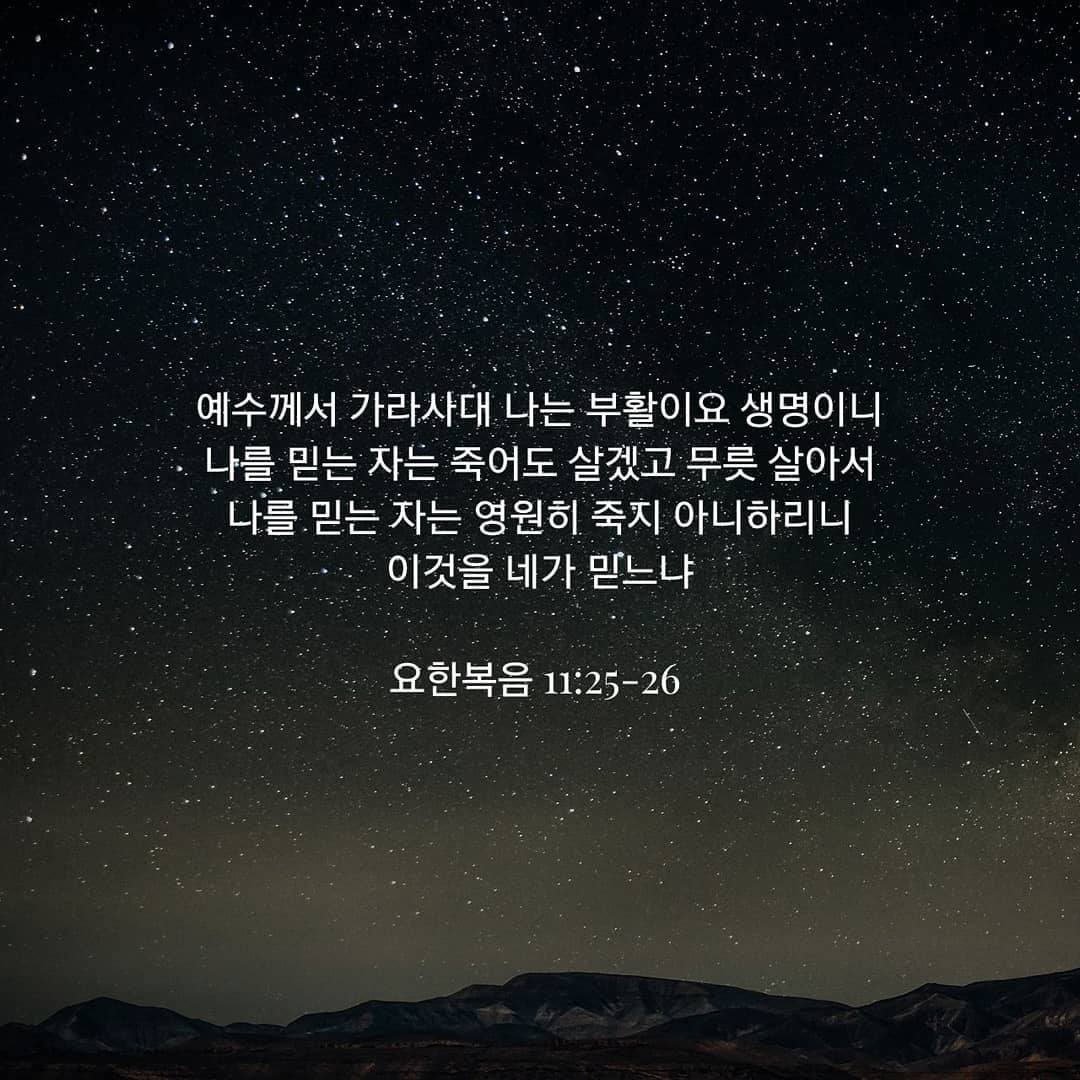성구이미지