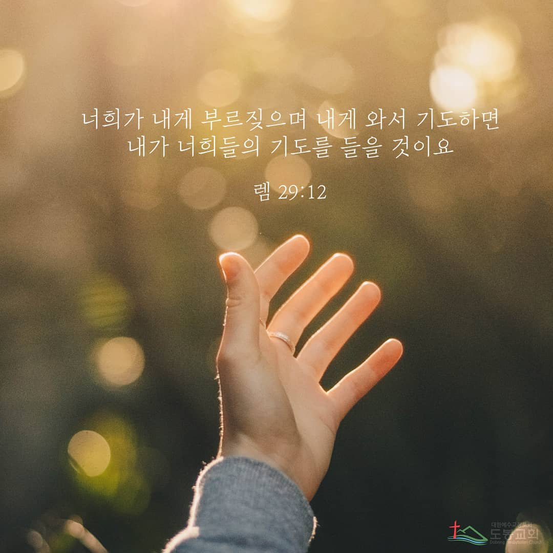 성구이미지