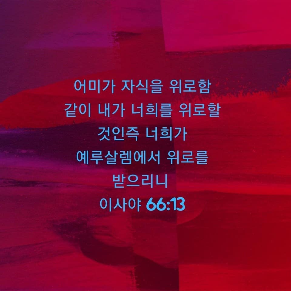 성구이미지
