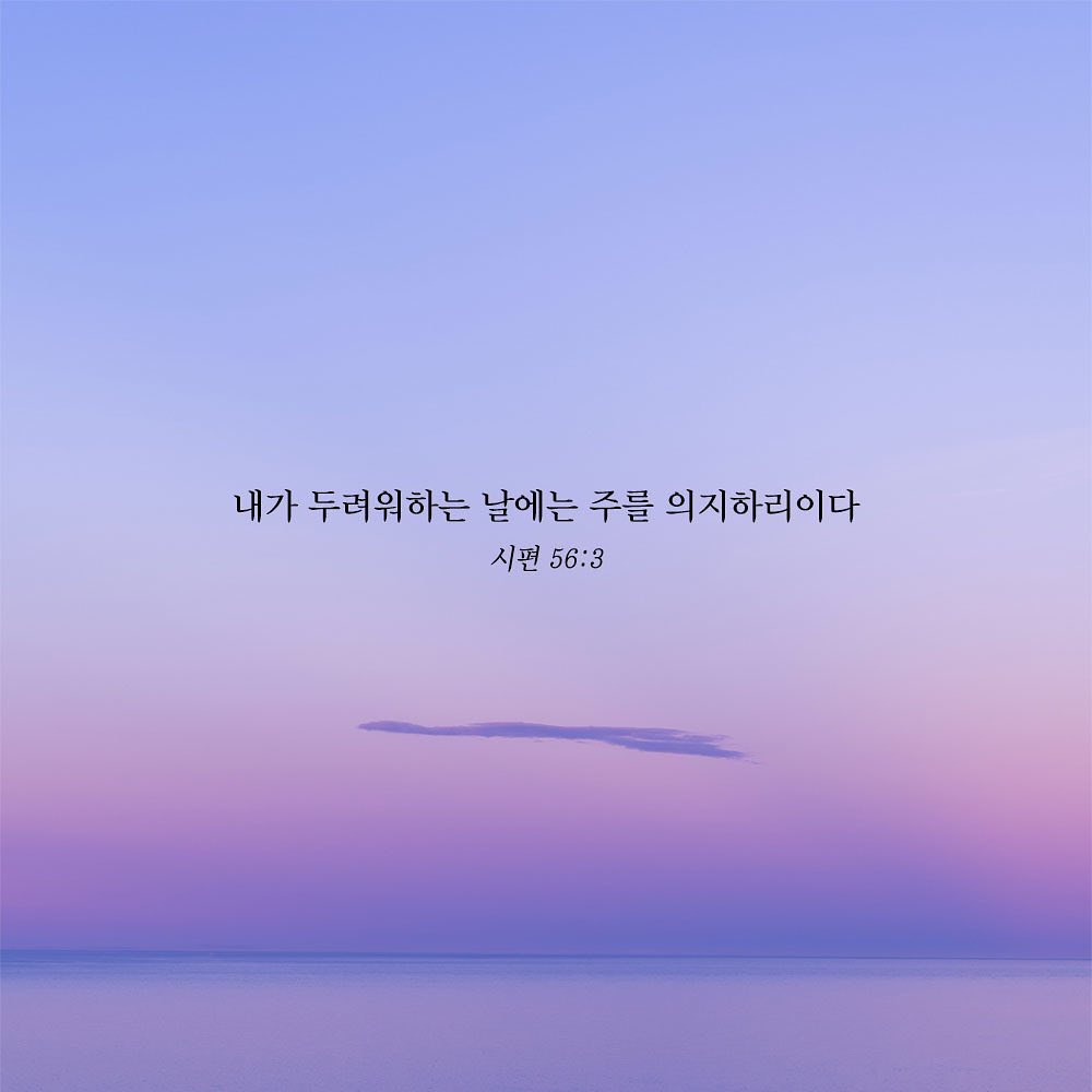성구이미지