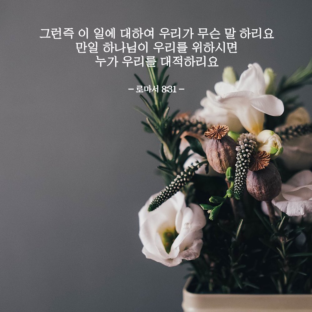 성구이미지
