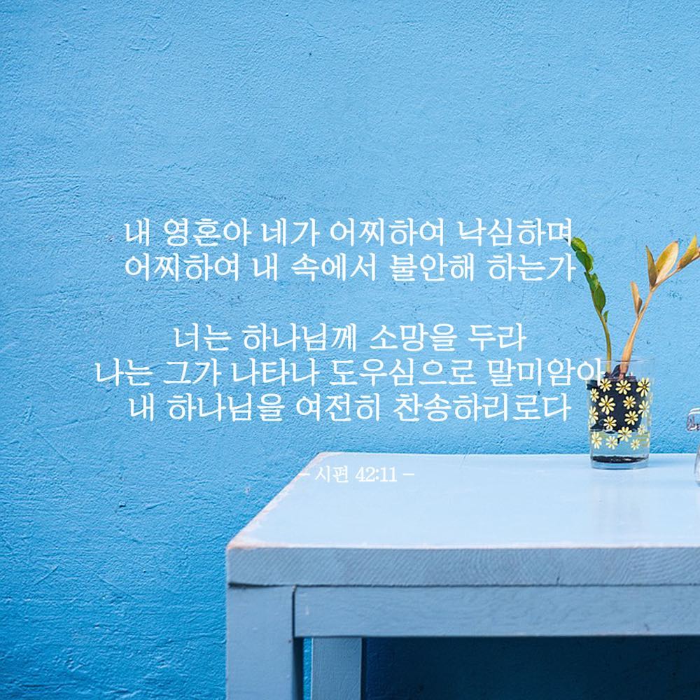성구이미지