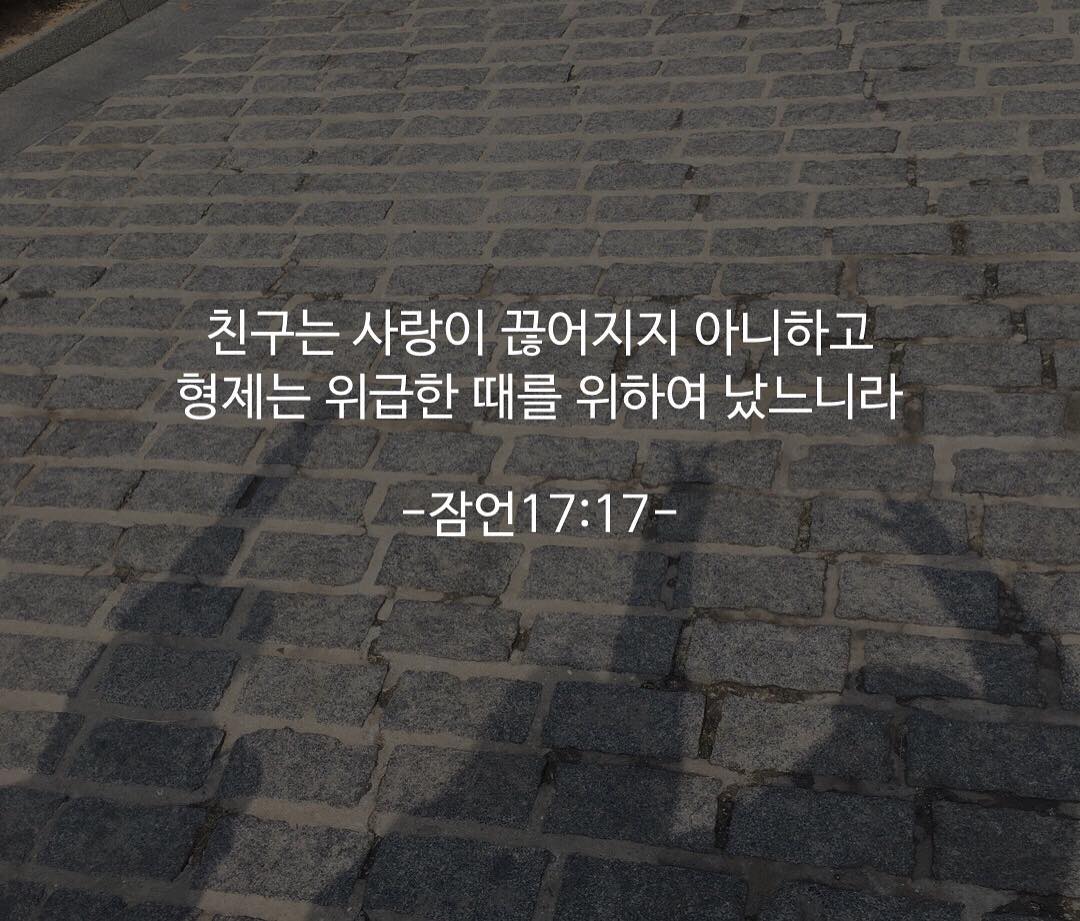 성구이미지