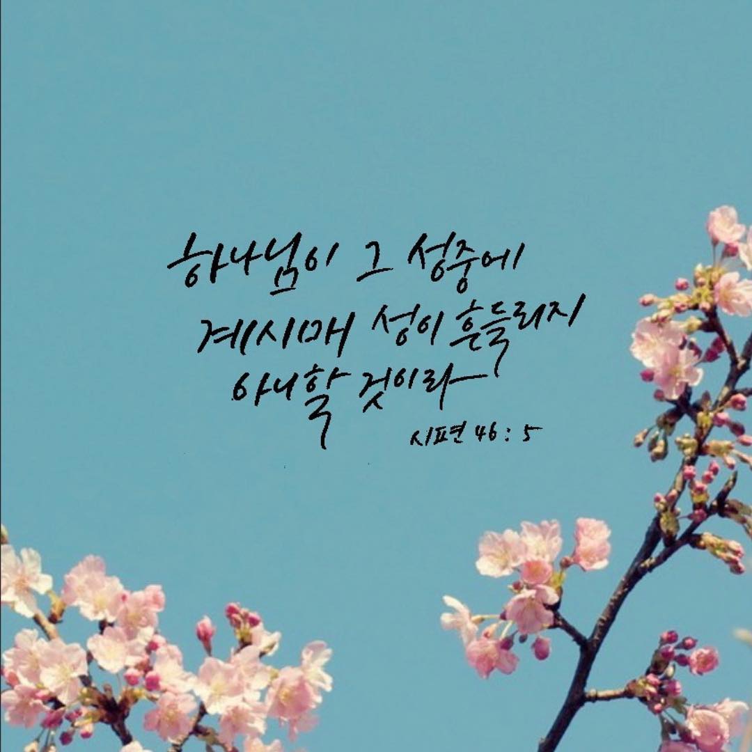 성구이미지