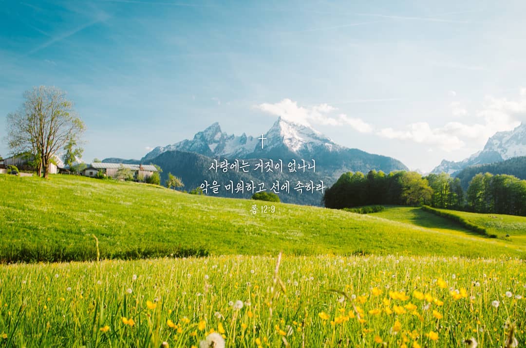 성구이미지