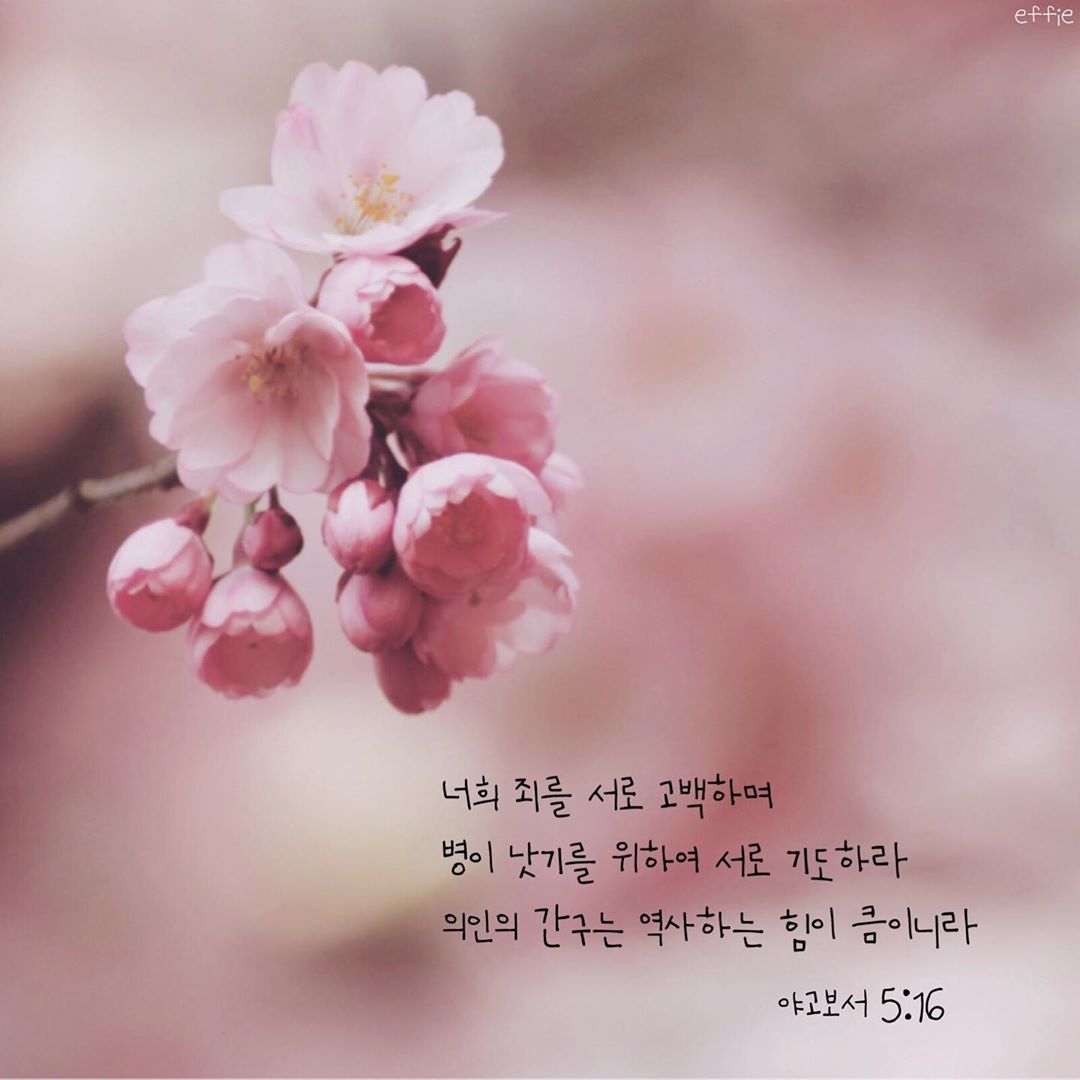 성구이미지