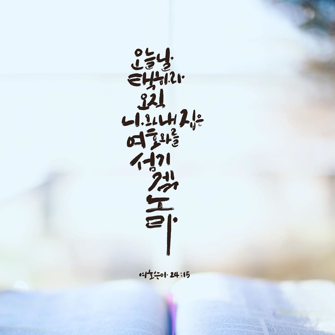 성구이미지