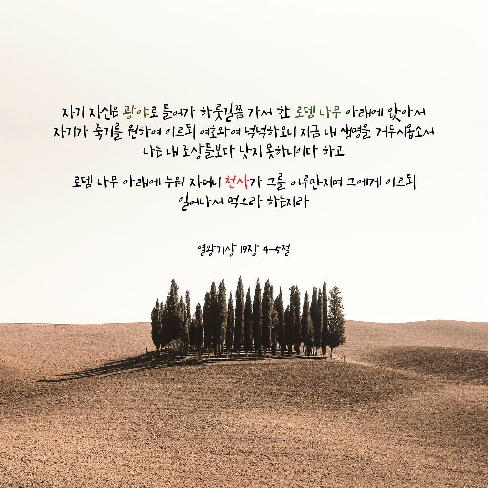 성구이미지
