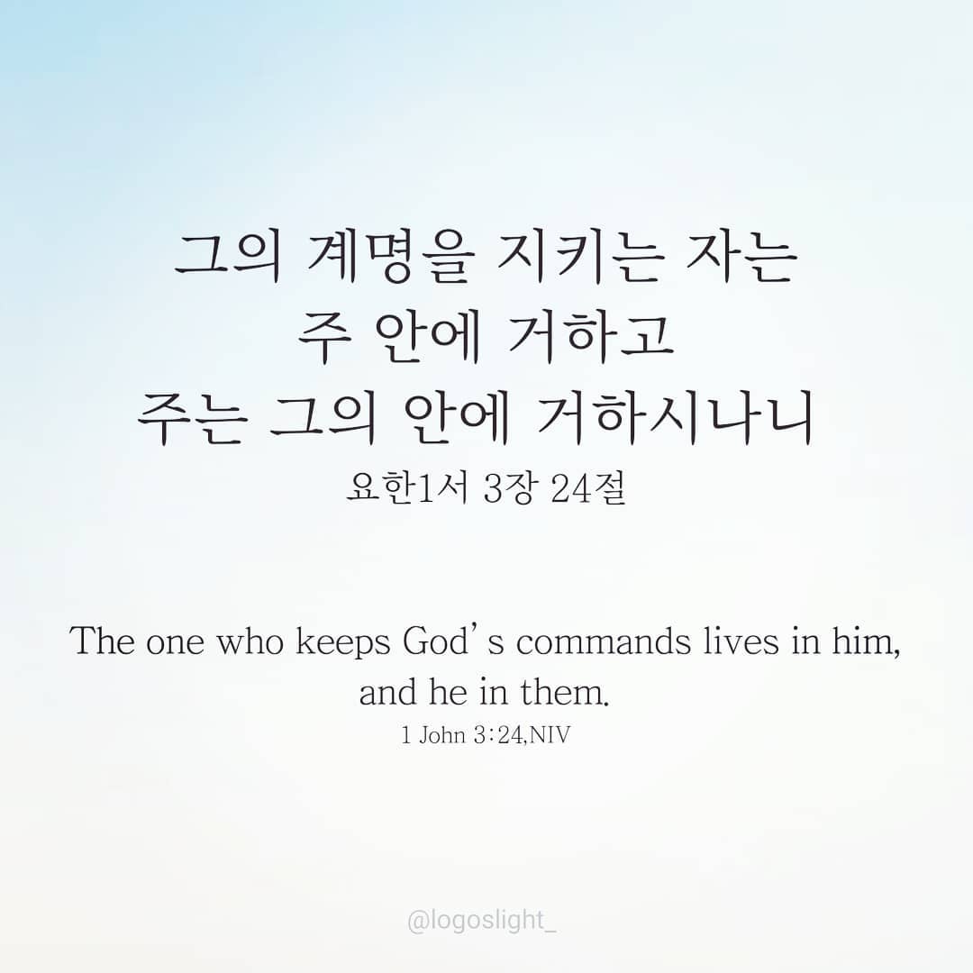 성구이미지