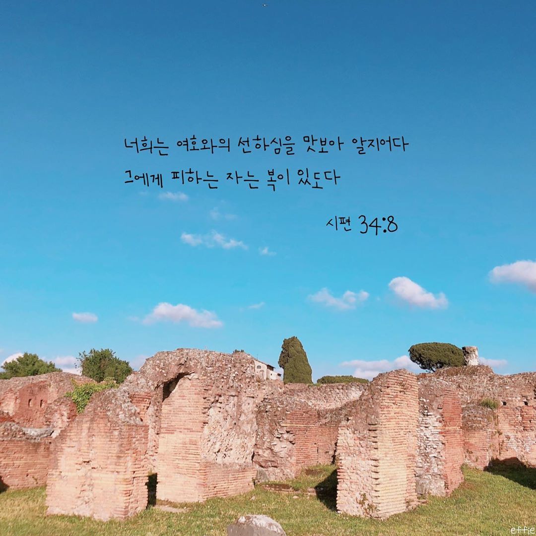 성구이미지