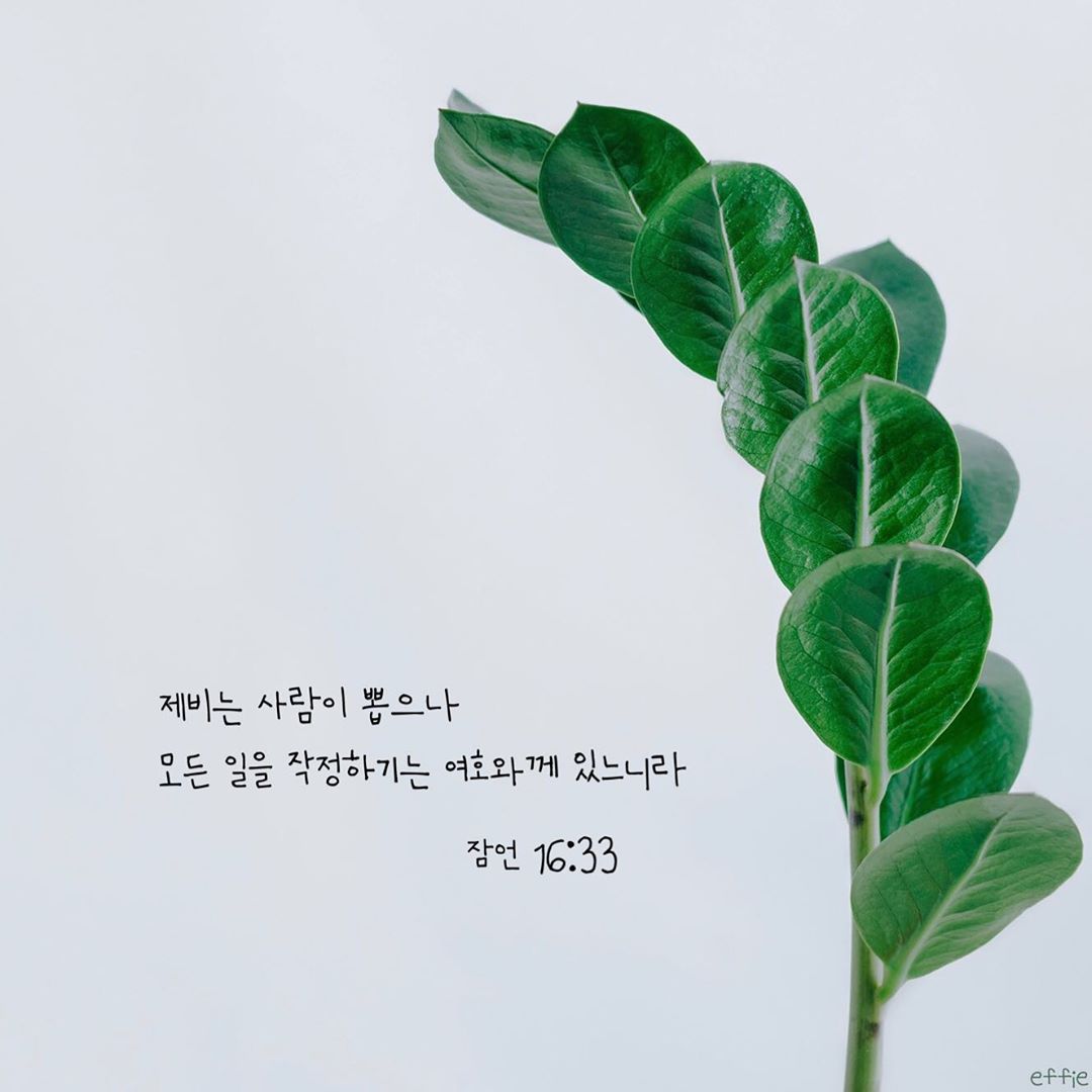 성구이미지