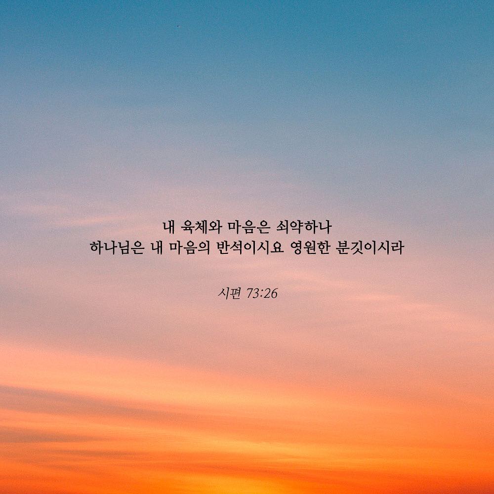 성구이미지