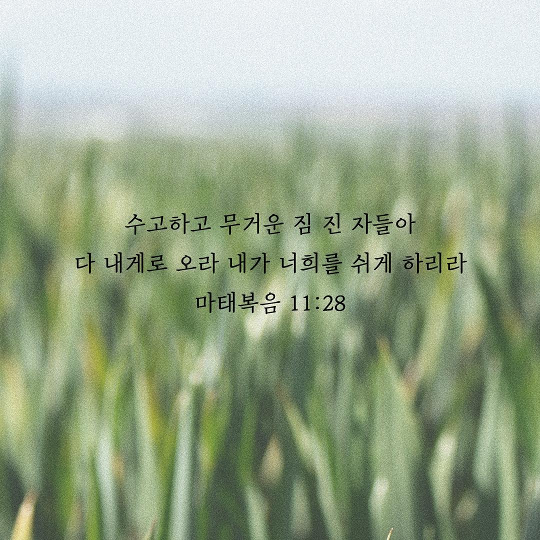성구이미지