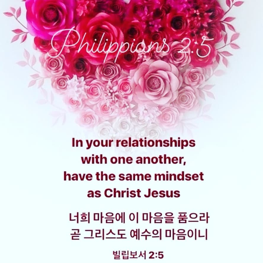 성구이미지