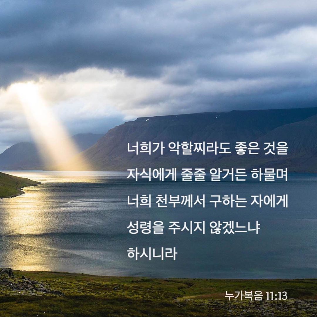 성구이미지