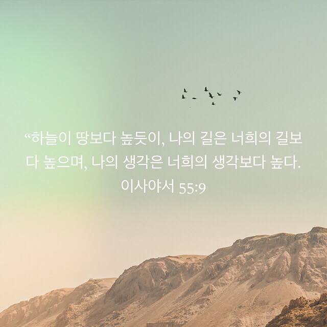 성구이미지