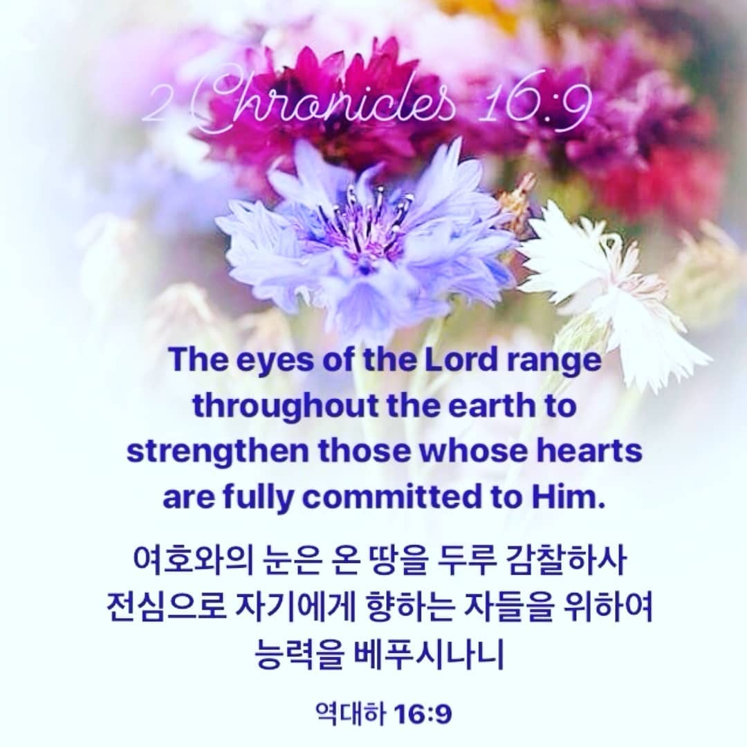 성구이미지