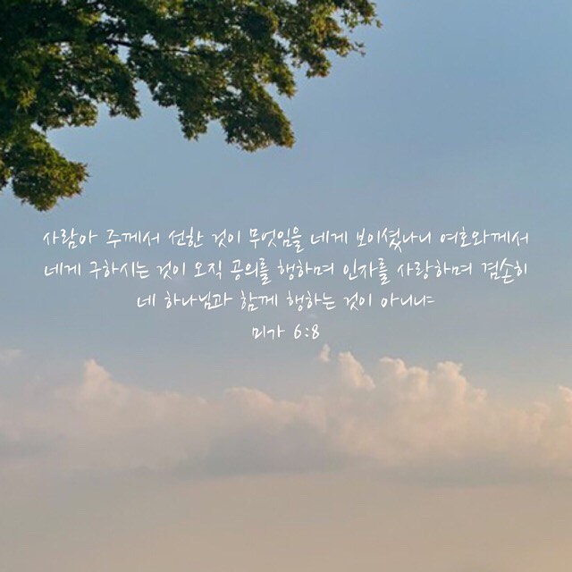 성구이미지