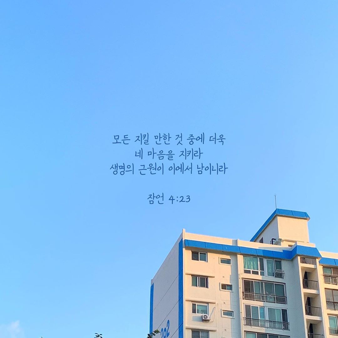 성구이미지