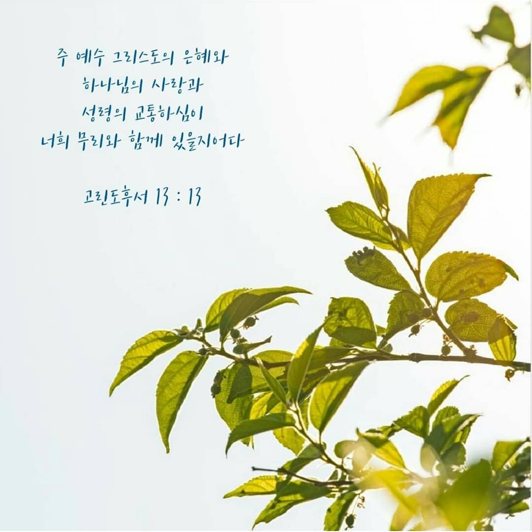 성구이미지