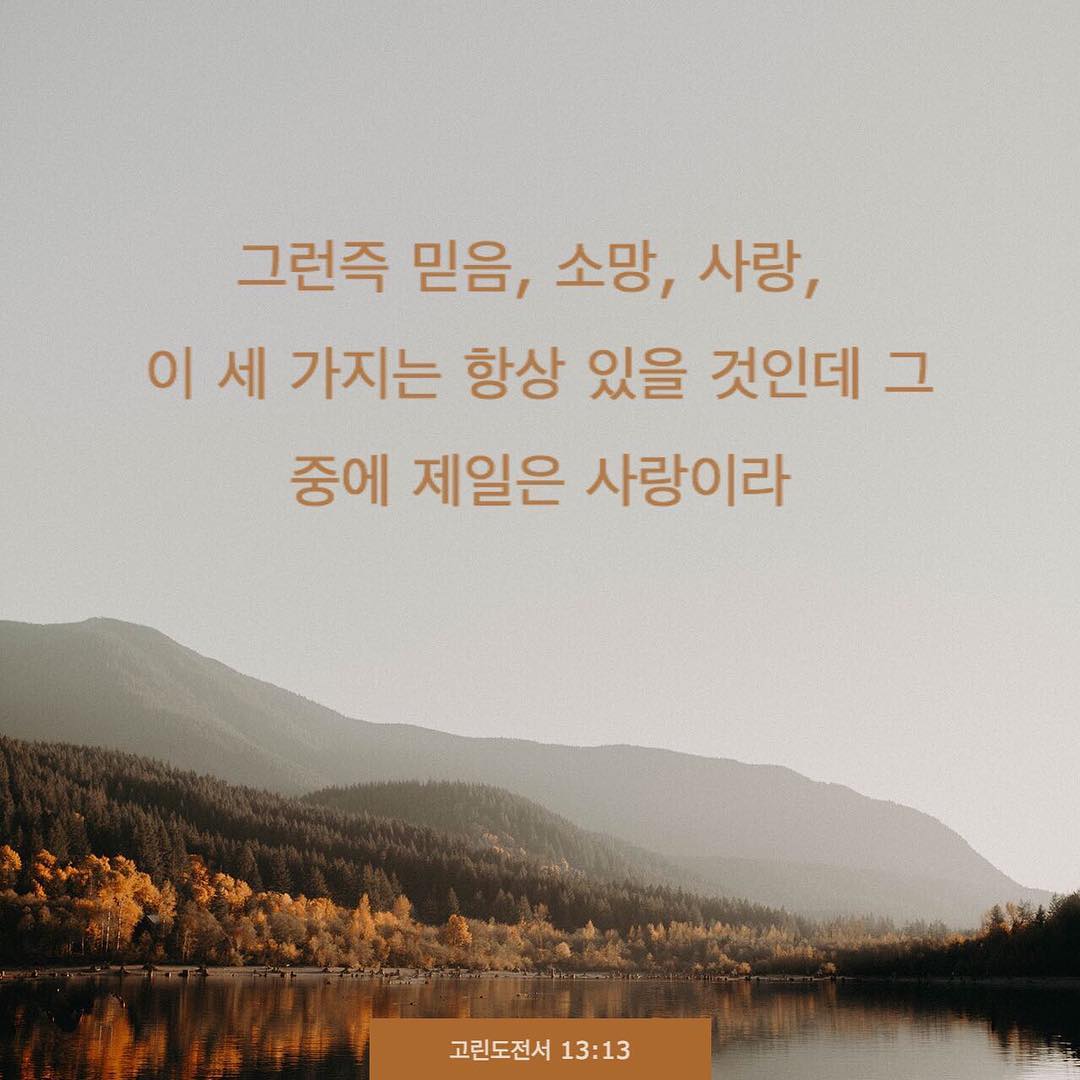 성구이미지