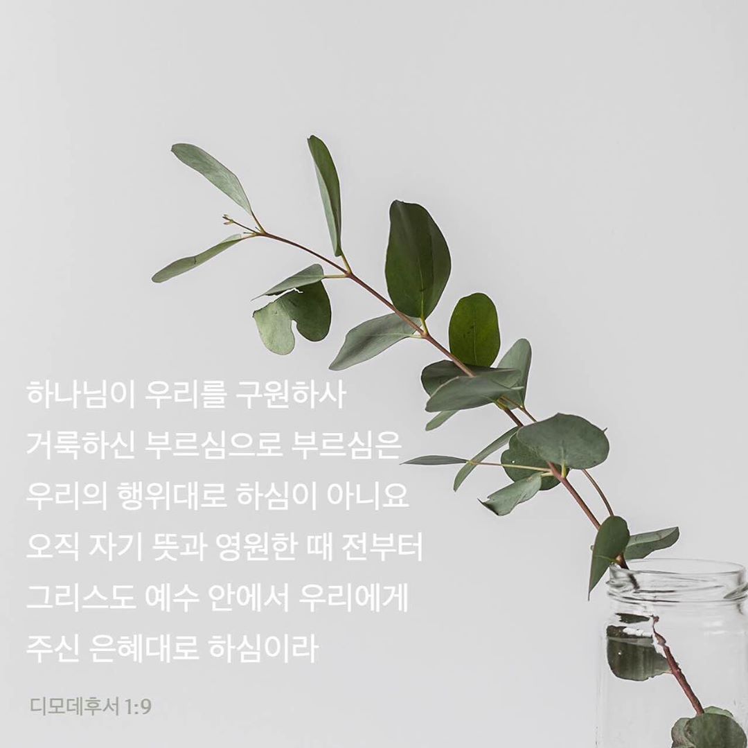 성구이미지