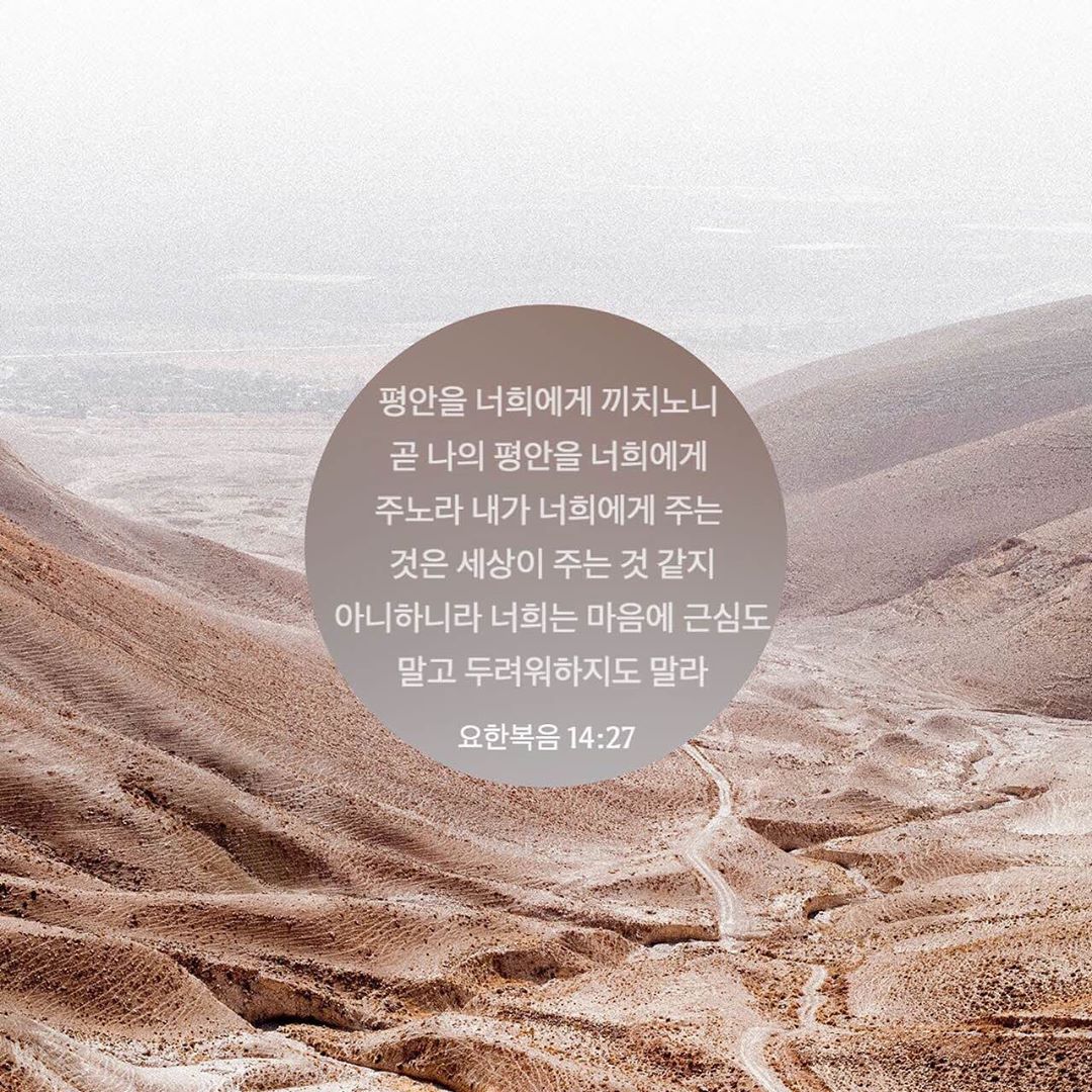 성구이미지