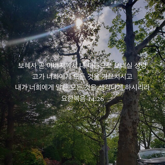 성구이미지