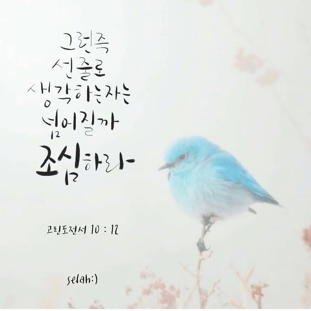 성구이미지