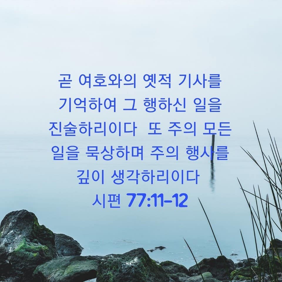 성구이미지