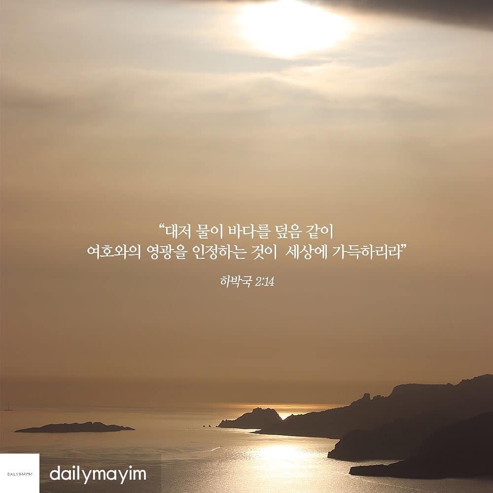 성구이미지