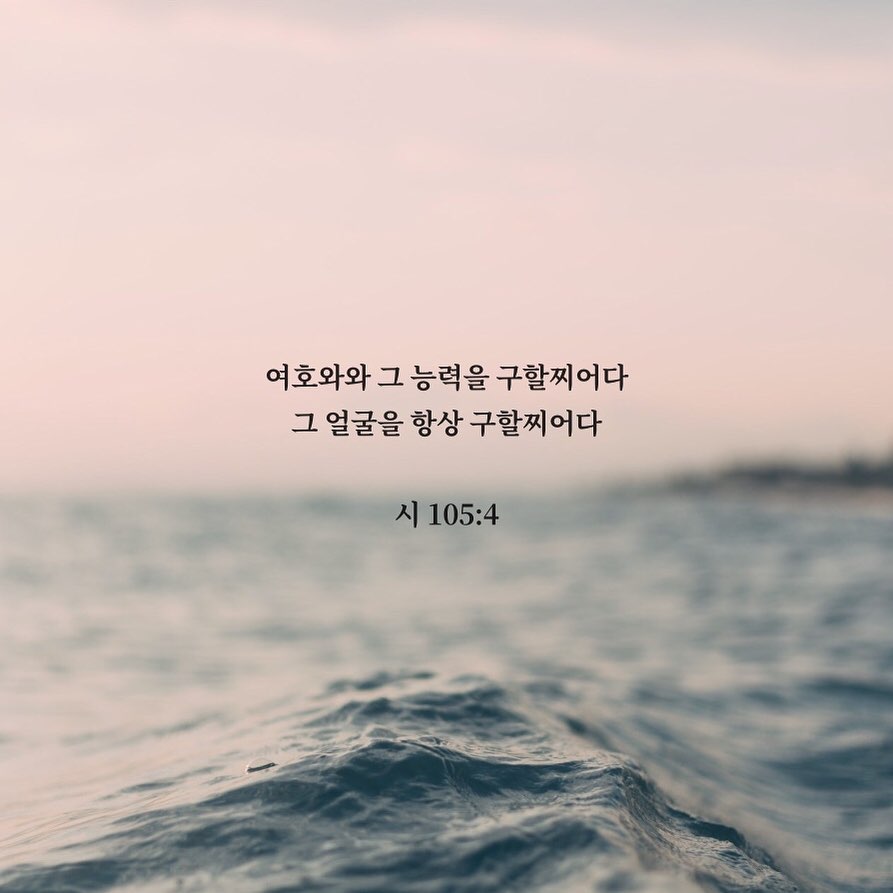 성구이미지
