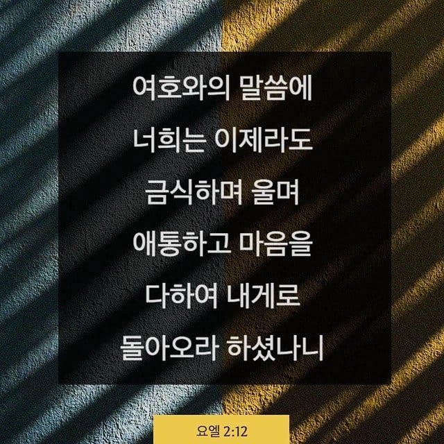 성구이미지