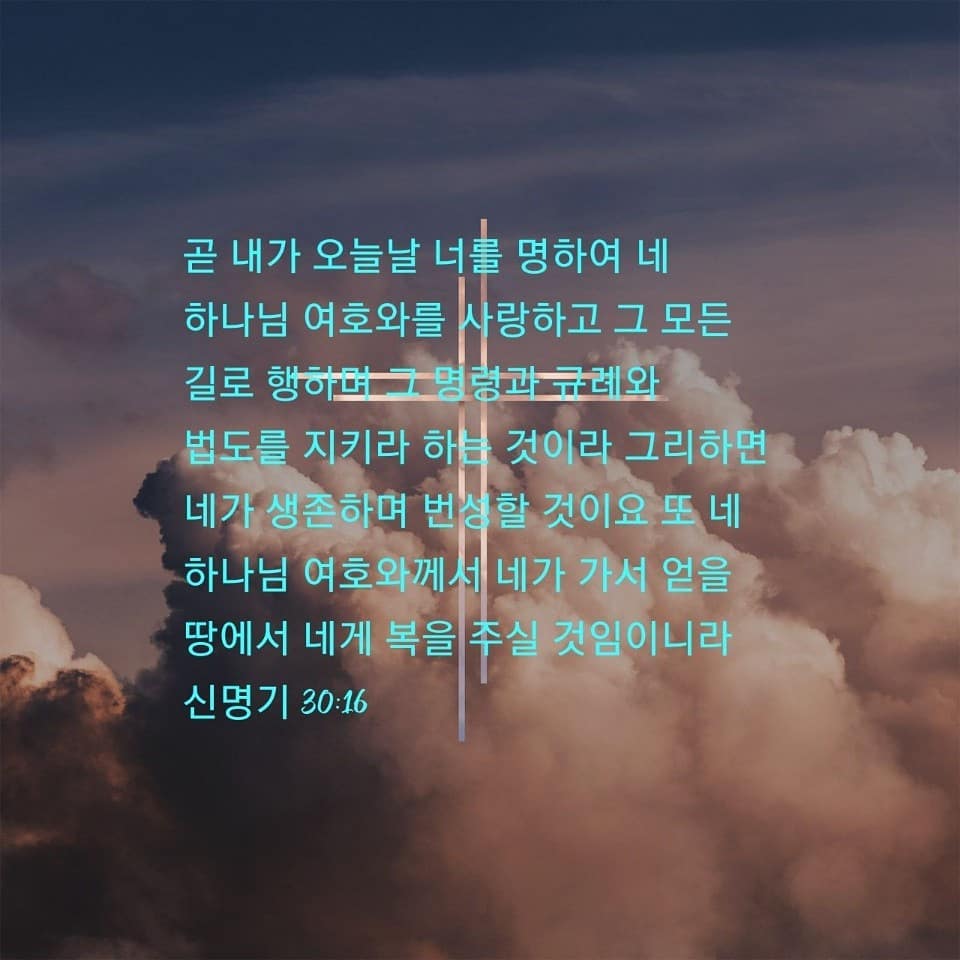 성구이미지
