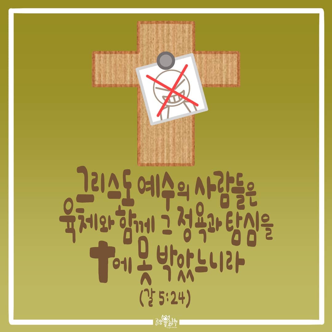 성구이미지