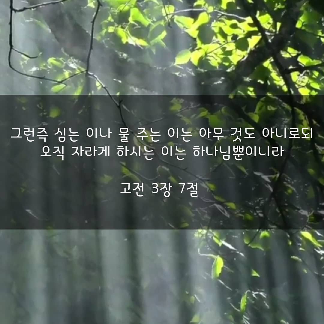성구이미지